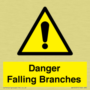 Danger Falling Branches